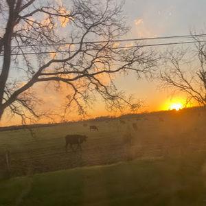 Meet your Posher, Venus